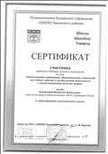 Сертификат за трансляцию педагогического опыта на районном семинаре молодых специалистов