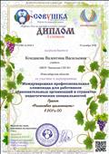 Диплом 1 степени Международной профессиональной олимпиады для работников образовательных организаций и студентов педагогических специальностей